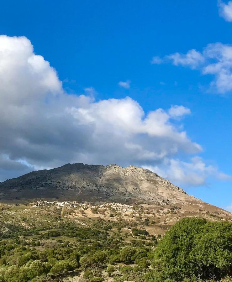 Sari Keci Tas Otel İmroz Εξωτερικό φωτογραφία