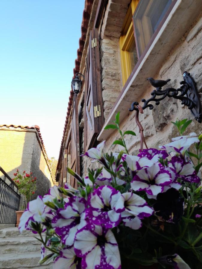 Sari Keci Tas Otel İmroz Εξωτερικό φωτογραφία